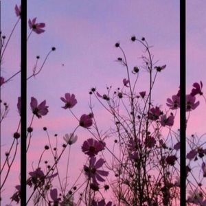 Meet your Posher, Sky